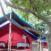 Отель Balaut Camp Resort, фото 40