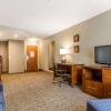 Отель Comfort Inn & Suites Rocklin - Roseville, фото 7