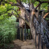 Отель Tree House Hideway Bandhavgarh, фото 17