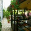 Отель Guest House Vila Petra, фото 7