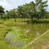 Отель da Reserva Natural Vale, фото 28