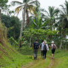 Отель Sundy Praia Lodge, фото 29