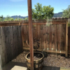 Отель Cloverdale Wine Country Inn & Suites, фото 8