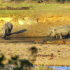 Отель Umvangazi Rest - Enjoy a Relaxing, Rejuvenating and Peaceful Setting in the Bush, фото 13