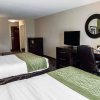 Отель Comfort Suites West Indianapolis - Brownsburg, фото 4
