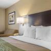 Отель Comfort Inn Chatham, фото 4