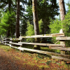Отель Hoh Rainforest Resort, фото 16