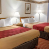 Отель Econo Lodge South, фото 3