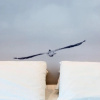 Отель Smart Hotel Mediterraneo, фото 6