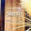 Отель Charbel hotel, фото 8