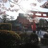 Отель Kyoto Stay SAKURA Fushimi Inari 1.2, фото 18