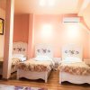 Отель Leaganul Bucovinei Guest House, фото 2