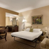 Отель Embassy Suites by Hilton Orlando Lake Buena Vista South, фото 5