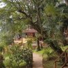 Отель Kampala Forest Resort (KFR Lodge), фото 28