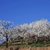 Отель Holiday Home With Private Pool Near Andalusian Village Comares, Malaga, фото 18