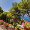 Отель Charming Villa in Capri with pool and sea-view-VILLA MARINA, фото 10