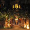 Отель Villa des Palmiers de l'Oasis, фото 1