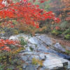 Отель Jecheon Provence Pension, фото 24