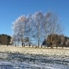 Отель Gasthof Waldschenke, фото 7