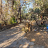Отель The Grand Idyllwild Lodge, фото 22