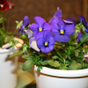 Отель Holiday You Shikinosato, фото 31