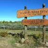 Отель Waipara River Estate, фото 10