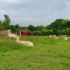Отель Double Decker Bus on an Alpaca Farm Sleeps 8, фото 11