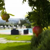 Отель Agriturismo Marrucola, фото 9