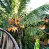 Отель Happy Coconut, фото 24
