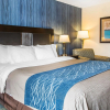 Отель Comfort Inn & Suites, фото 4