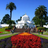 Отель Golden Gate Park Suite, фото 2