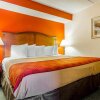 Отель Econo Lodge Inn & Suites, фото 22