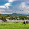 Отель Nipha House Khao Yai Villa в Пак-Чонге