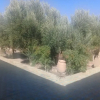 Отель Riad Akour, фото 14