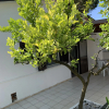 Отель Quirino Residence, фото 7