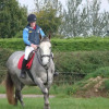Отель Ross House Equestrian Holidays, фото 24