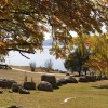 Отель Grey Kangaroo- On Lake Jindabyne foreshore, фото 10
