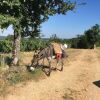 Отель Un Chemin en Quercy, фото 26