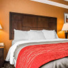Отель Comfort Inn, фото 6