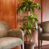 Отель Best Western Plus Mesa, фото 15