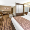 Отель Microtel Inn & Suites Ozark, фото 2