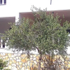 Отель Apartments Dalmacija, фото 9