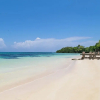 Отель Silver Palms Charming 1BR Private Beach and Pool, фото 14