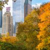 Отель JW Marriott Essex House New York в Нью-Йорке