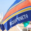 Отель Rosapineta, фото 16