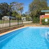 Отель Flynns Beach Caravan Park, фото 9