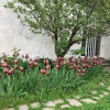 Отель Villa David, фото 15