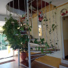 Отель Carmel, фото 8