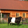 Отель B&B De Lakenvelder, фото 5