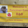 Отель Runciman Berries and Emus B&B, фото 31